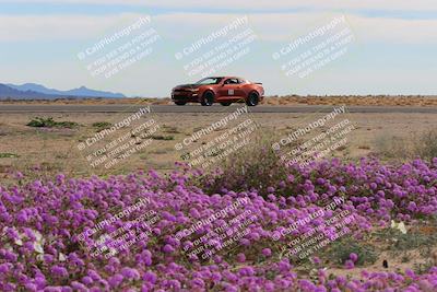 media/Jan-08-2023-SCCA SD (Sun) [[8f6a5b9391]]/Advanced Group/Session 2 (Short Straight)/